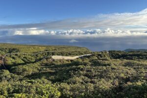 Kohala project Big Island